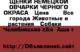 ЩЕНКИ НЕМЕЦКОЙ ОВЧАРКИ ЧЕРНОГО ОКРАСА › Цена ­ 1 - Все города Животные и растения » Собаки   . Челябинская обл.,Аша г.